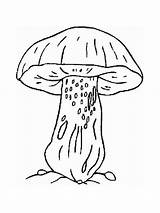 Mushrooms Pages Coloring Printable sketch template