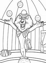 Circus Coloring Pages Printable Lion Animal Specially Designed Kids sketch template