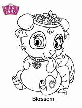 Palace Pets Blossom Coloring Printable sketch template