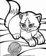 Cat Coloring Pages Fluffy Printable Getcolorings Adults Color Print sketch template