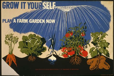 fantastic victory garden posters modern farmer
