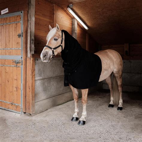 paardendekens paardrijden decathlon