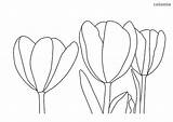 Tulpen Blumen Bundle Tulips Ausmalen Tulpe Ausmalbild Frühling sketch template