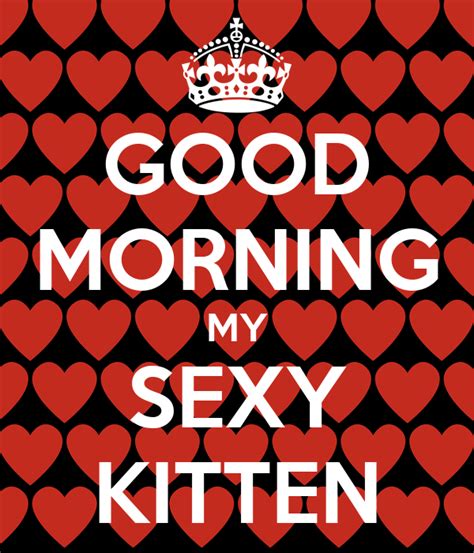 good morning my sexy kitten kittykarma