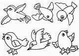 Coloring Pages Spring Robin Bird Kids Cute Popular sketch template