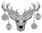 Zentangle Reindeer Face Balls Vector Chriatmas Decoration Coloring Pages Adult Stress Doodle Anti Illustration Deer sketch template