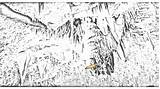 Drawing Stalactite Draw Cavern Carlsbad Caverns Stalactites Auto Paintingvalley sketch template