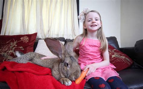 darius the rabbit from worcester is the world s biggest easter bunny