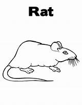 Rat Rats sketch template
