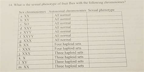 Solved 14 What Is The Sexual Phenotype Of Fruit Flies Wi