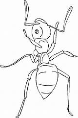 Ant Fourmi Ants Colorier sketch template