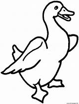 Coloring Printable Goose Animal Clipart Cartoon Pages Duck Print Color Cliparts Baby Clip Bird Pic Library Book Clipartmag Popular Comments sketch template