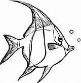 Angelfish Coloring Pages Color Animals Printable sketch template