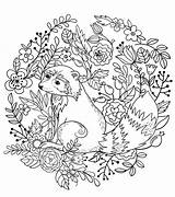 Raccoon Coloring Pages Printable Categories sketch template