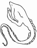 Eel Coloring Handipoints Gulper Primarygames 1275 59kb Cat sketch template