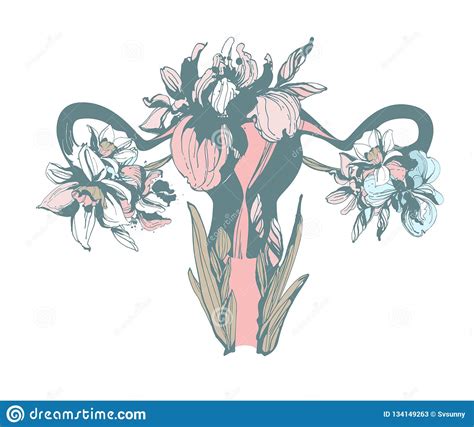 woman uterus with flowers illustration cartoon vector