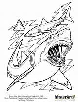 Shark Mako Drawing Coloring Pages Getdrawings sketch template
