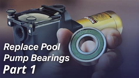 replace  bearings   pool pump motor part  youtube
