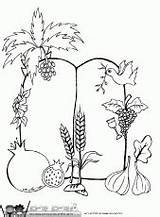 Coloring Pages Colouring Kiddush Cup Related sketch template