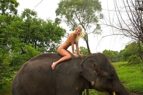 Blonde Riding Nude On An Elephant G48r13l