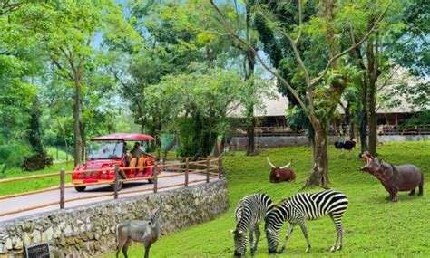 solo safari wisata terbaru transformasi tstj