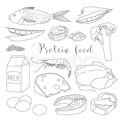 protein food icons  healthy diet  salmon beans almonds
