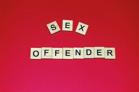 wooden blocks on a pink background spelling words sex offender modern