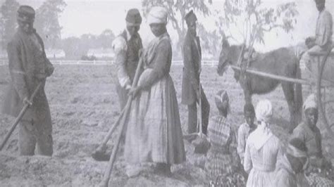 South Carolina S First Free Slaves Latest News Videos Fox News
