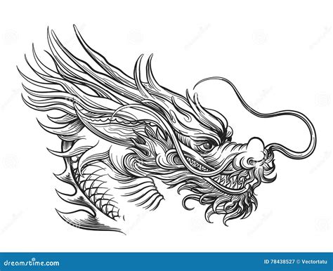 hand drawn chinese dragon head stock vector illustration  monster