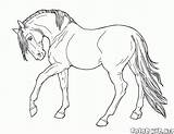 Cavallo Colorkid Colorare Lento Disegni sketch template