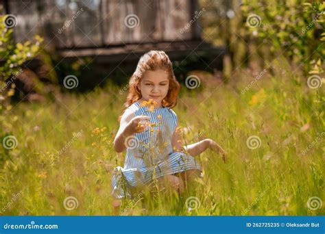 Pretty Ginger Long Haired Girl On A Green Lawn Stock Image Image Of