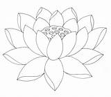 Lotus Coloring Flower Clipart Pages Library Pencil Drawing Printable sketch template
