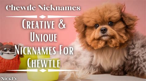 chewtle nicknames  creative unique nicknames  chewtle nickfy