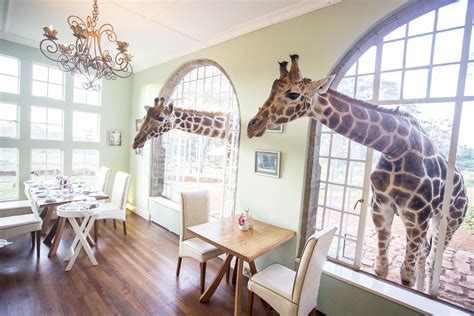 bbc amazing hotels giraffe manor nairobi kenya london evening standard