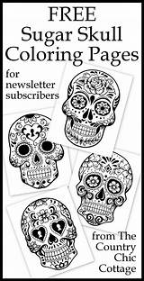 Pages Coloring Skull Sugar Adult Adults Skulls Sheets Girl Printables Country Printable Colouring Print Cottage Halloween Fall Glue Kids Easy sketch template