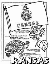 Kansas Coloring Pages Crayola State Flag Printable Facts Seal Color Kids States Sheets Book Arizona Oklahoma Symbols Worksheets Flower Flags sketch template