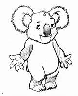 Koala Pages Coloring Para Colorear Koalas Dibujos Kids Printable Dibujo Zeichnung Imprimir Animal sketch template