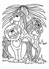 Coloring Zebra Giraffe Lion Pages sketch template