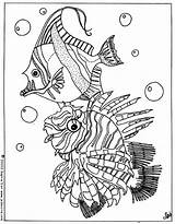 Fish Coloring Tropical Pages Fishes Sea Hellokids Coloriage Color Ausmalen Fische Print Ocean Para Poissons Lesson Sheet Nice Animal Tropische sketch template