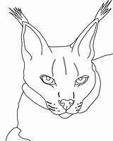 Lynx Coloring Pages Color Animals Canada Animal Printable Comments sketch template