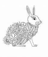 Coelho Jardim Secreto Rabbit Adultos Floresta Encantada Mandalas Pintar Basford Zentangle Johanna Escolha Tudodesenhos Inky Desenhar sketch template