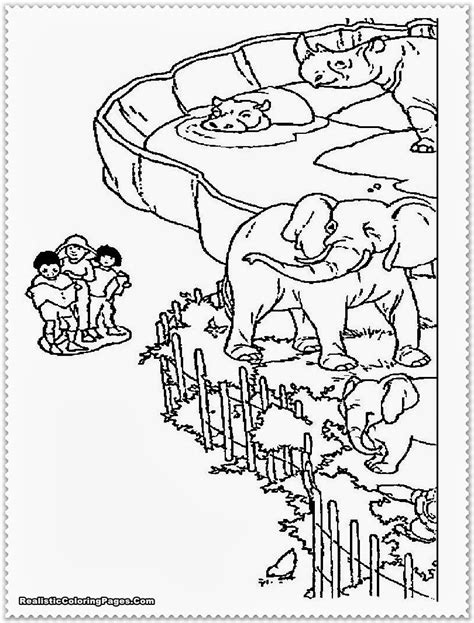 zoo animal coloring pages realistic coloring pages