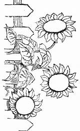 Coloring Pages Flower Sunflower Printable Book Kids Sunflowers Flowers Adults Patterns Color Fall Glass Print Adult Garden Sun Stained Drawings sketch template