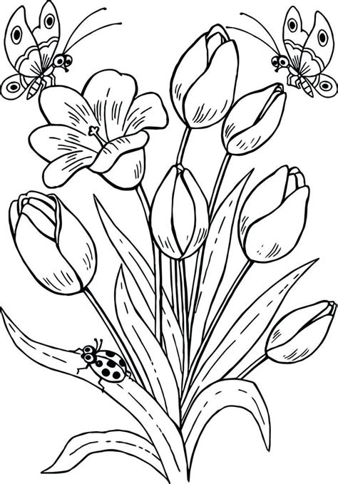 senior citizen coloring pages idih speed