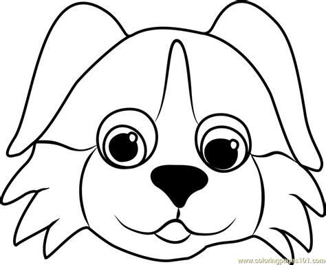 bernese puppy face coloring page  kids  pet parade printable