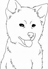 Akita Lineart Puppy sketch template