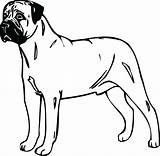 Mastiff Clipart Bullmastiff Dog Clip Bull Cliparts Drawing Working Library Lover Pet Gifts Custom Drawings Clipartmag Collection Designlooter Clipground sketch template