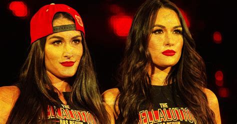 10 Ways To Actually Tell The Bella Twins Apart