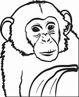 Chimpanzee Coloring Pages Chimp Printable Baby Posters Kids Clip Printablee sketch template