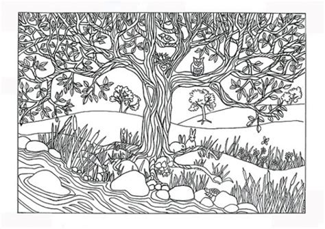 preschool printables  nature coloring pages  bhca